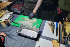 IMG-20250426-WA0033