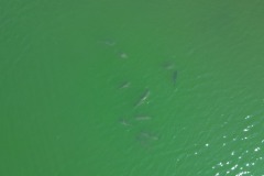 IMG-20250513-WA0013