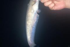 IMG-20250708-WA0006