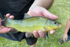 IMG-20250708-WA0008