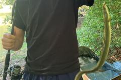 IMG-20250708-WA0009