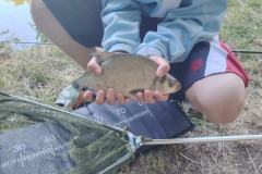 IMG-20250708-WA0010