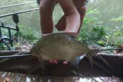 IMG-20250708-WA0027