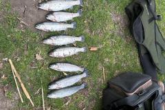 IMG-20250415-WA0014