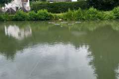 IMG-20250714-WA0022