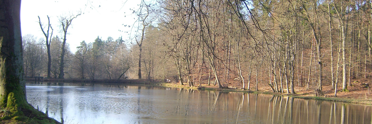 Echzell e.V. Der Echzell e.V