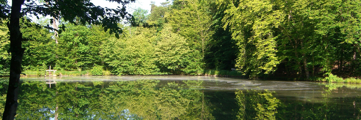 Echzell e.V. Der Echzell e.V